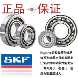 skf轴承多钱_泉本动力(在线咨询)_天津skf轴承