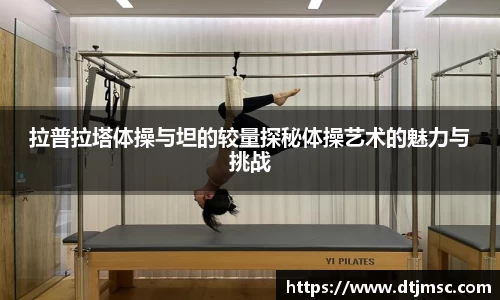 拉普拉塔体操与坦的较量探秘体操艺术的魅力与挑战